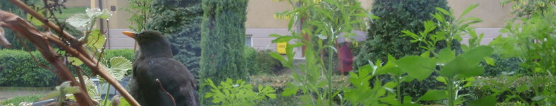 Banner profilu