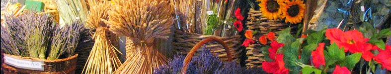 Banner profilu
