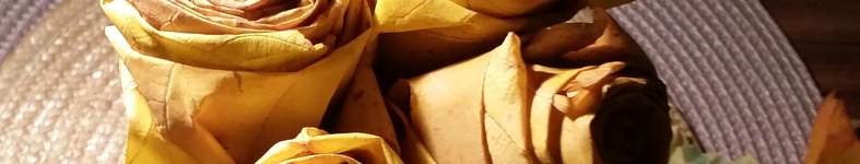 Banner profilu
