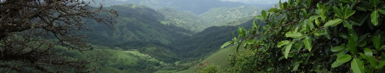 Banner profilu