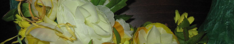 Banner profilu