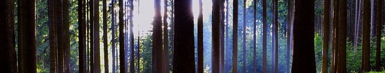 Banner profilu