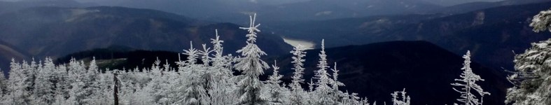 Banner profilu