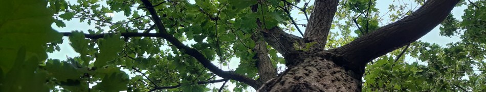 Banner profilu