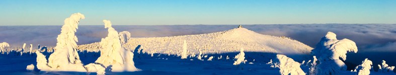 Banner profilu