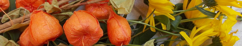 Banner profilu