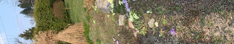Banner profilu
