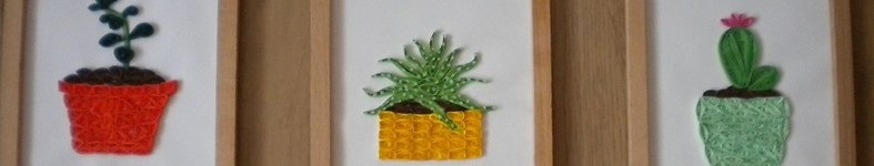 Banner profilu