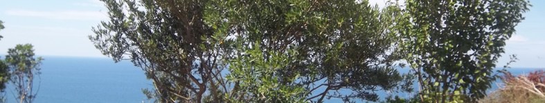 Banner profilu