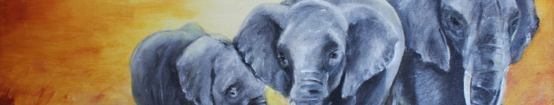 Banner profilu