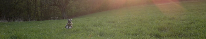 Banner profilu