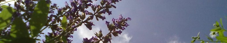 Banner profilu
