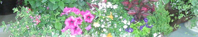 Banner profilu