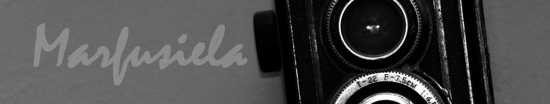 Banner profilu