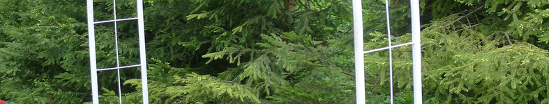 Banner profilu