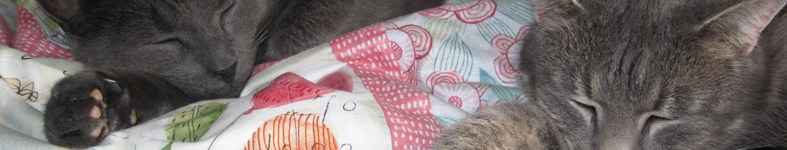 Banner profilu