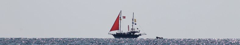 Banner profilu