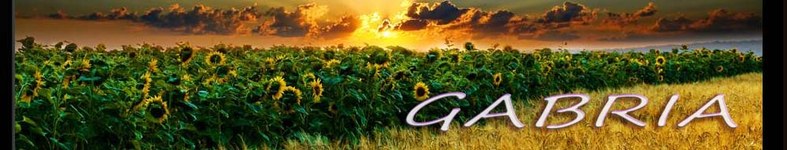 Banner profilu