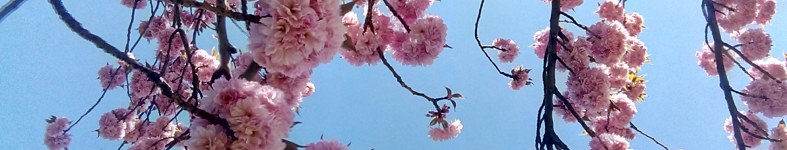 Banner profilu