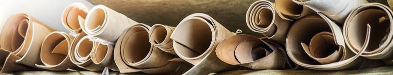 Banner profilu