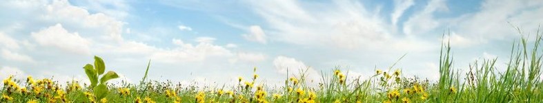 Banner profilu