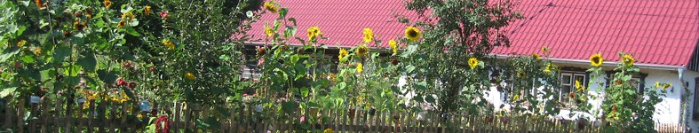 Banner profilu