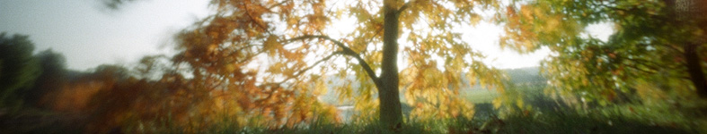 Banner profilu