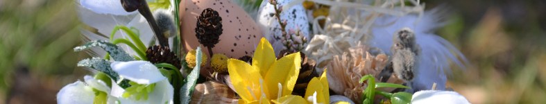 Banner profilu