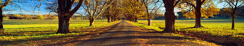Banner profilu