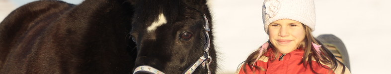 Banner profilu