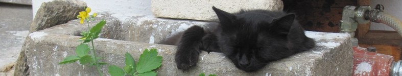 Banner profilu