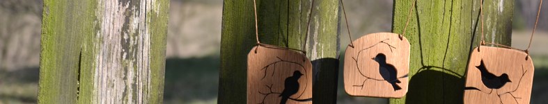 Banner profilu
