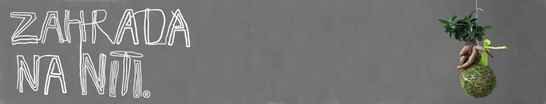 Banner profilu