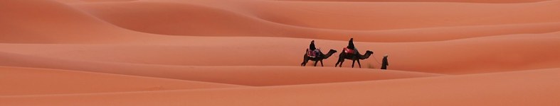 Banner profilu