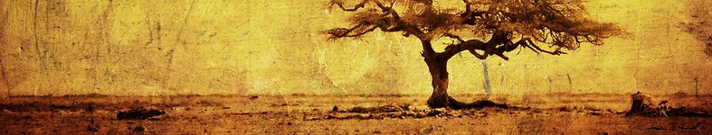 Banner profilu