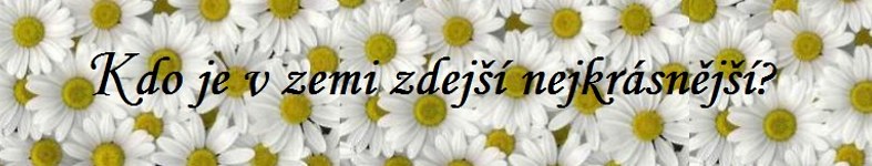 Banner profilu