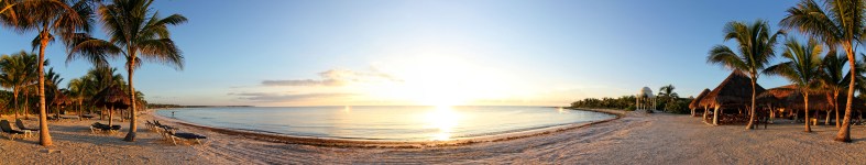Banner profilu