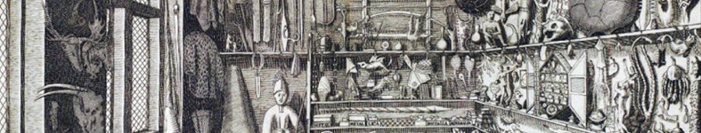 Banner profilu