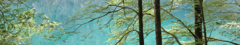 Banner profilu