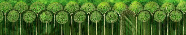 Banner profilu