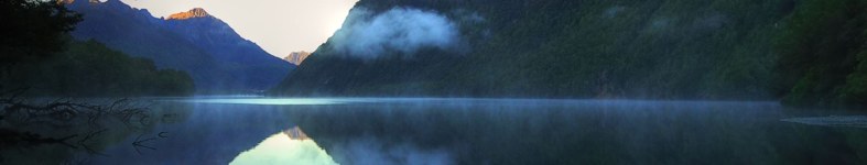 Banner profilu