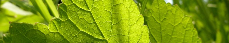 Banner profilu