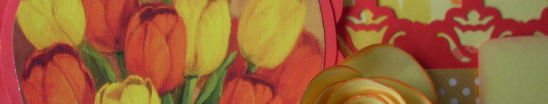 Banner profilu
