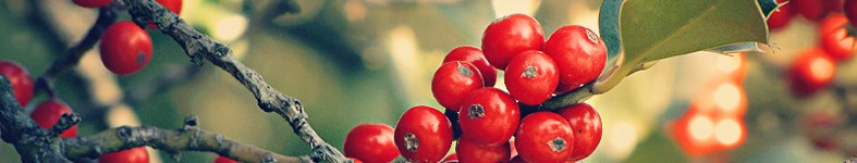 Banner profilu