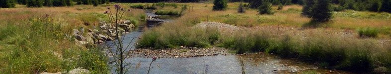 Banner profilu