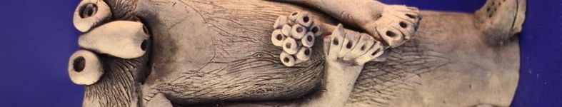 Banner profilu