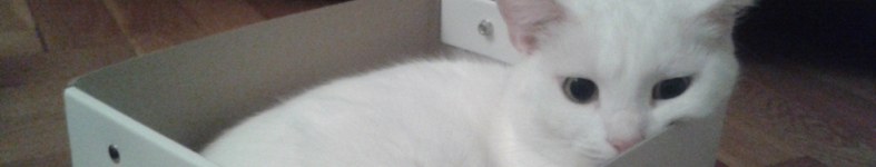 Banner profilu