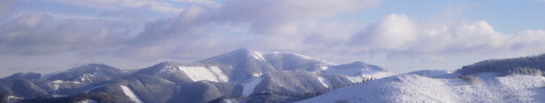 Banner profilu