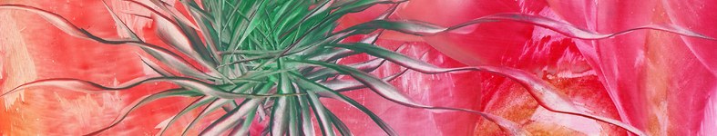 Banner profilu