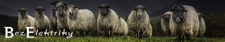 Banner profilu